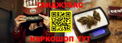 гашик Камышлов