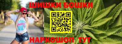 гашик Камышлов