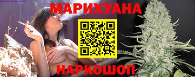 гашик Камышлов