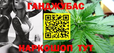 гашик Камышлов