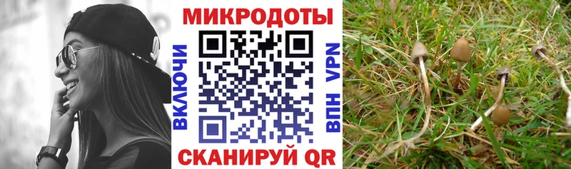 Псилоцибиновые грибы мицелий  гидра рабочий сайт  Соль-Илецк 
