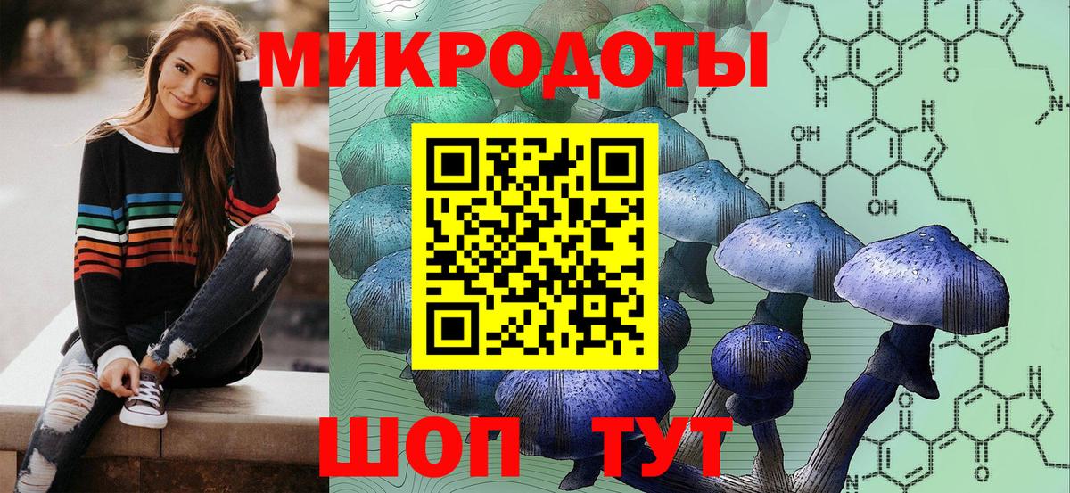 Галлюциногенные грибы прущие грибы  Вход с VPN  Соль-Илецк  Галлюциногенные грибы Psilocybine cubensis 
