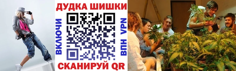 Шишки марихуана марихуана  Соль-Илецк 
